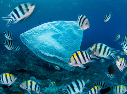 plastic