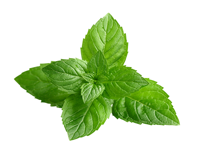 mint