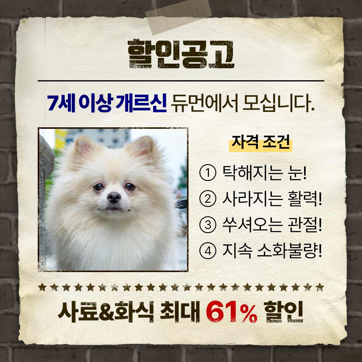 듀먼 퍼포먼스