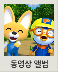 동영상앨범