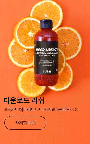 다운로드 러쉬
